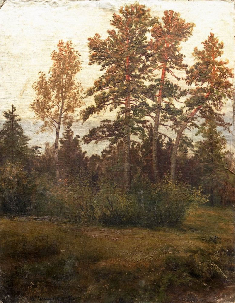 Иван Шишкин. Опушка леса. 1892.
